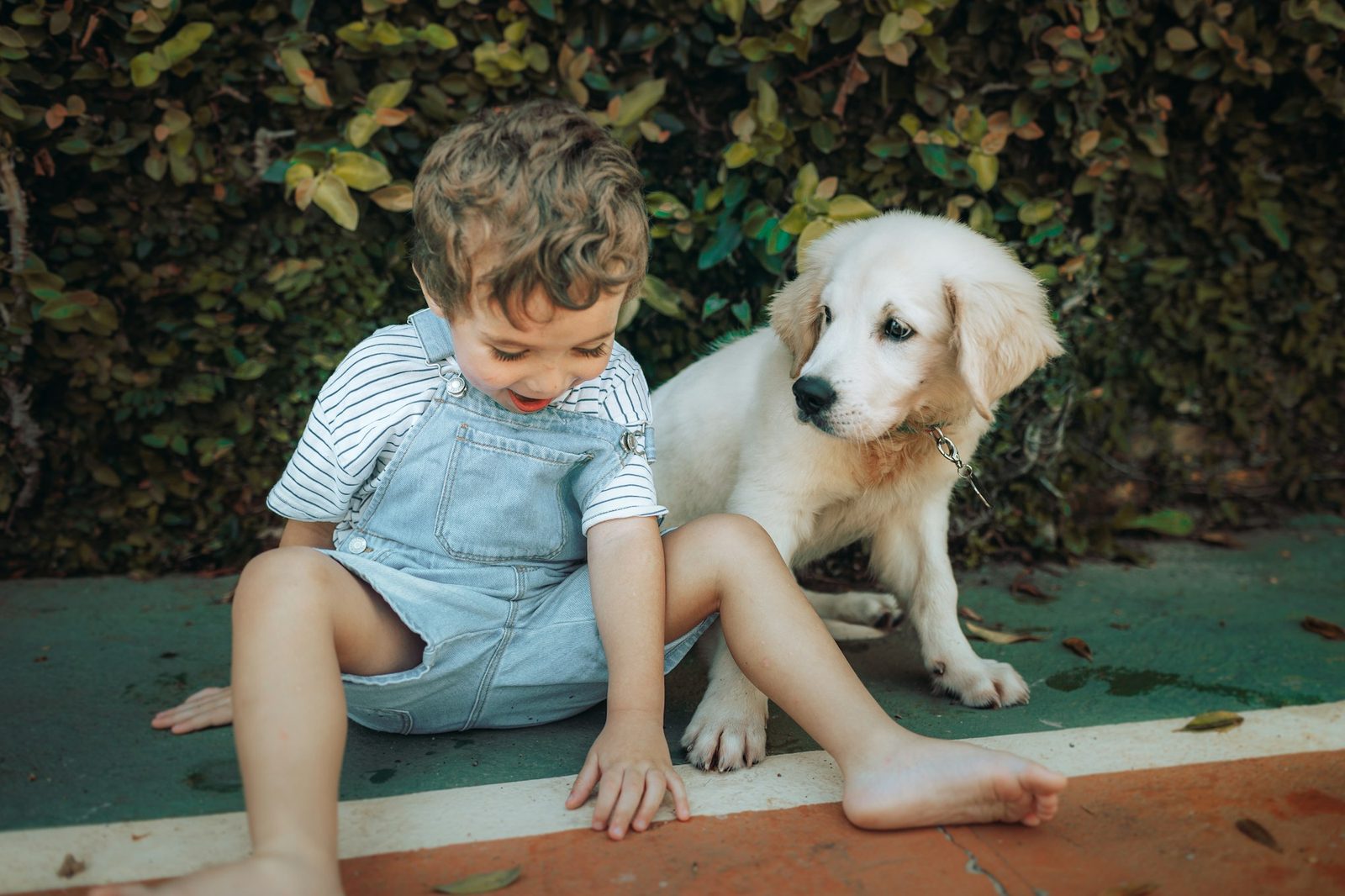 一个孩子和一只金毛幼犬并排坐在台阶上
